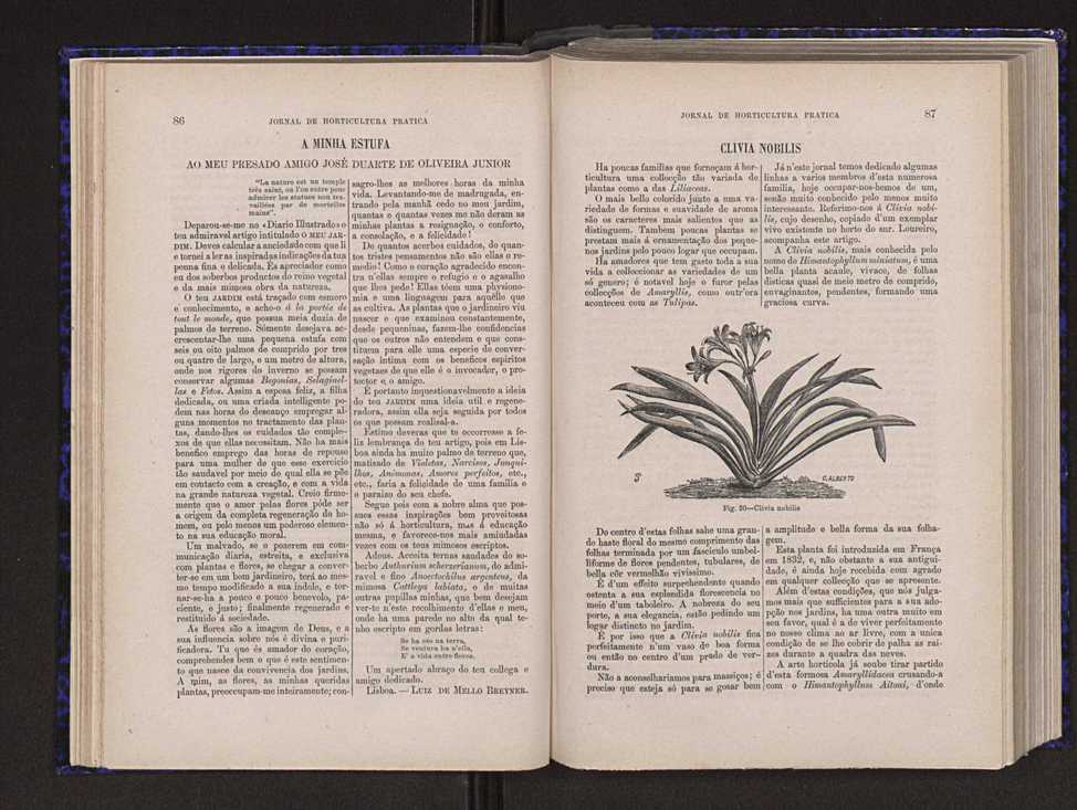Jornal de horticultura prtica V 51