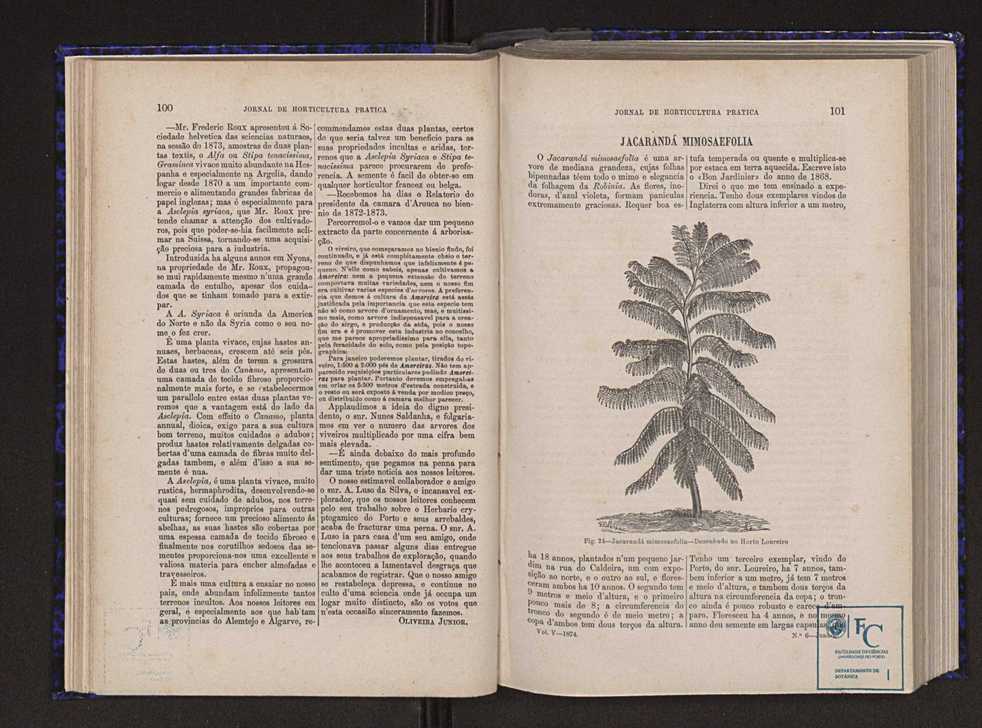 Jornal de horticultura prtica V 58