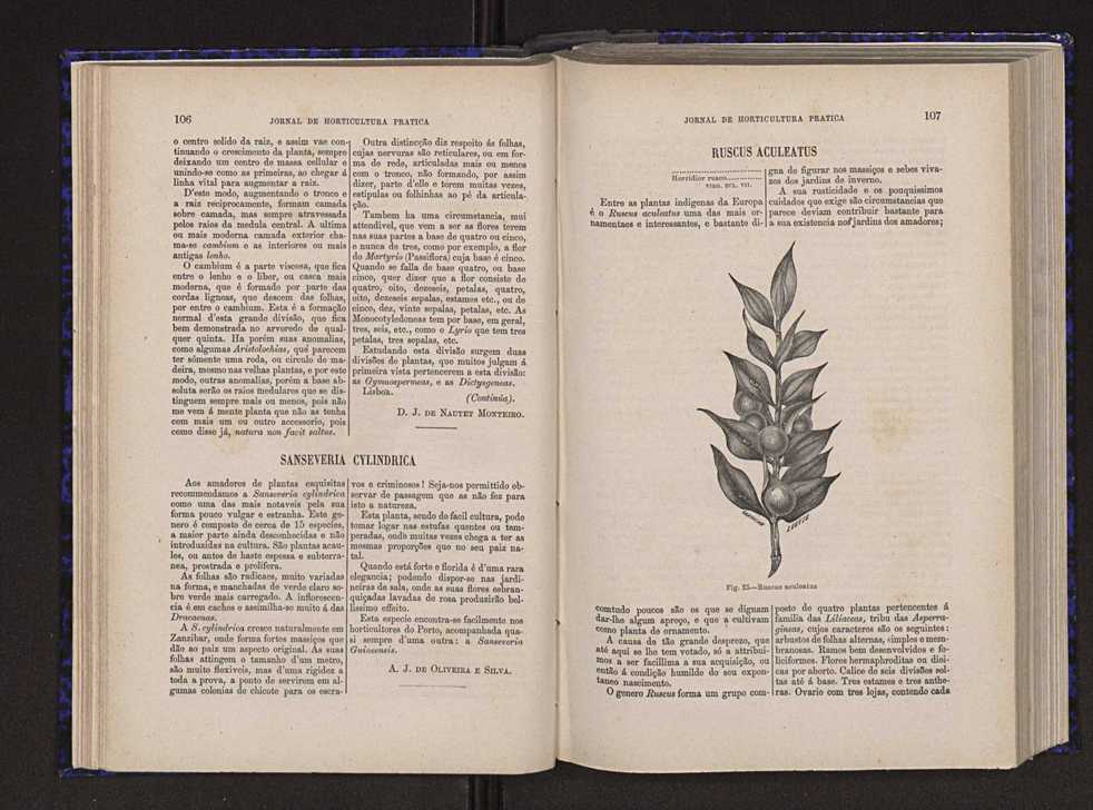 Jornal de horticultura prtica V 61