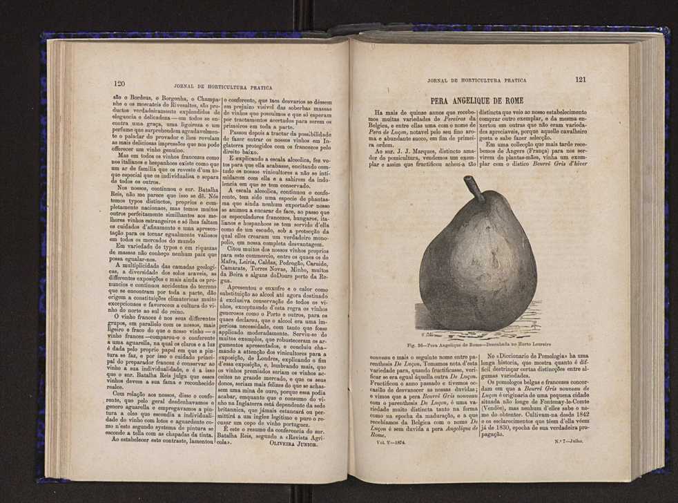 Jornal de horticultura prtica V 68