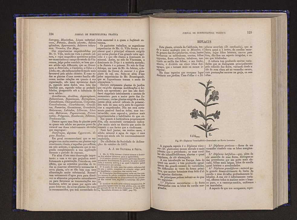 Jornal de horticultura pr�tica V 70