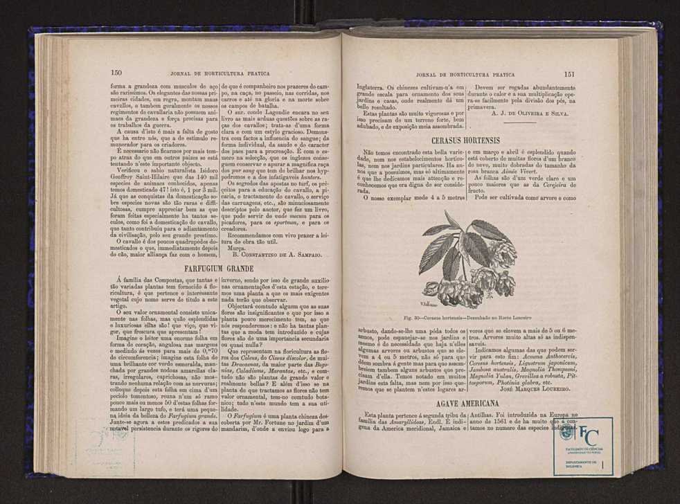 Jornal de horticultura prtica V 83