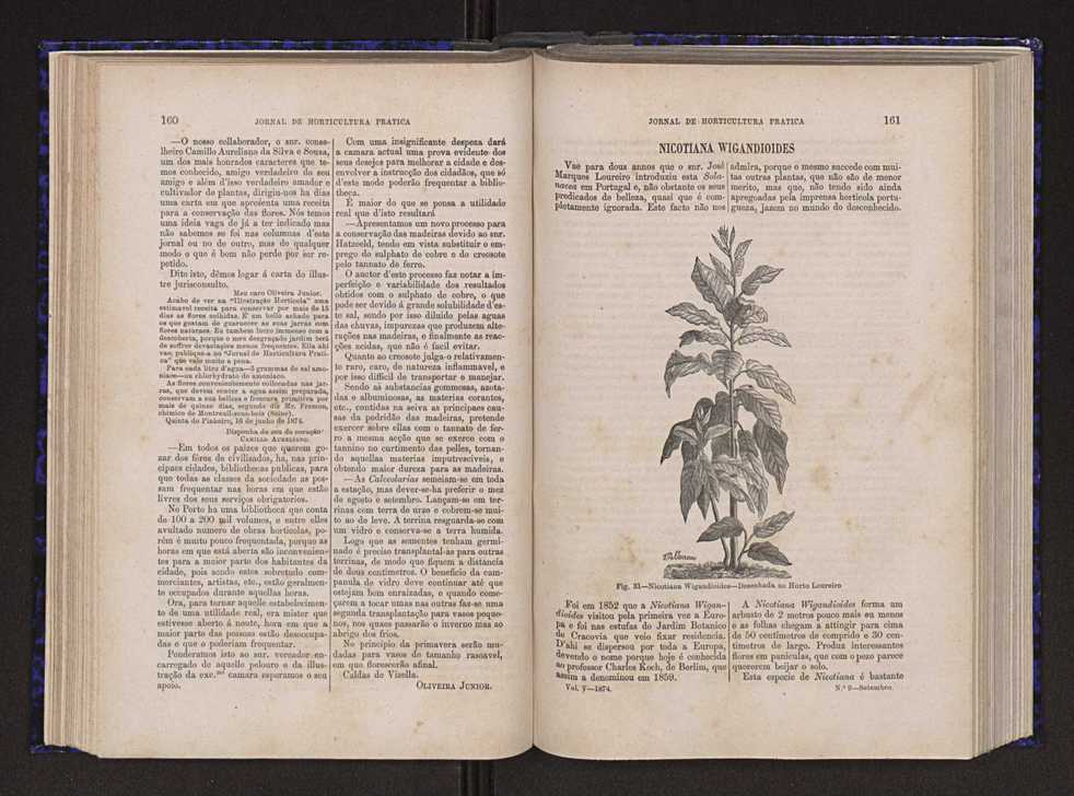 Jornal de horticultura prtica V 88