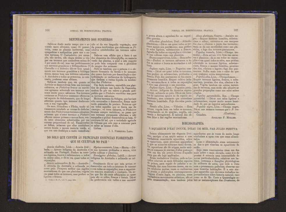 Jornal de horticultura prtica V 91