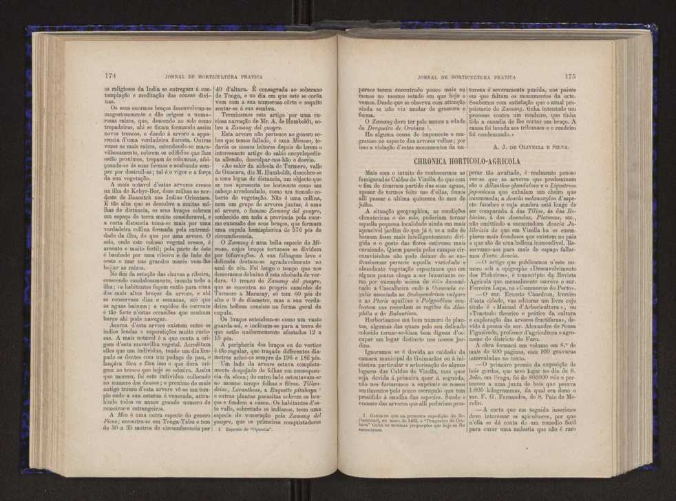 Jornal de horticultura prtica V 95