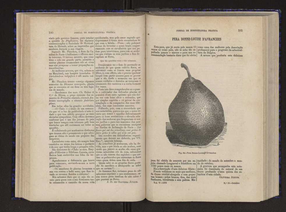 Jornal de horticultura prtica V 98