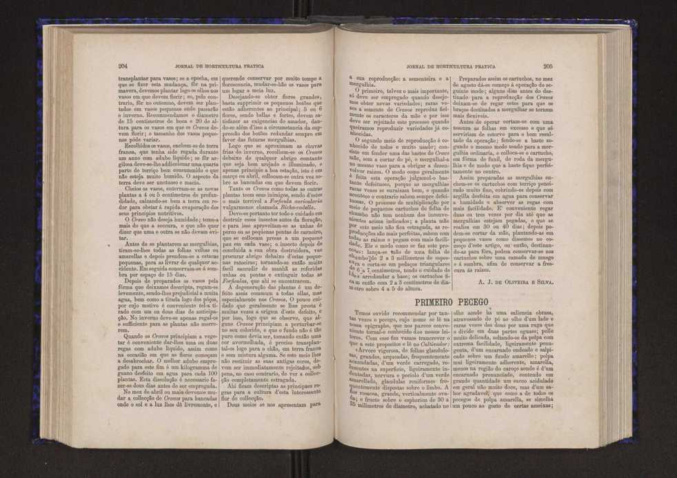 Jornal de horticultura prtica V 110