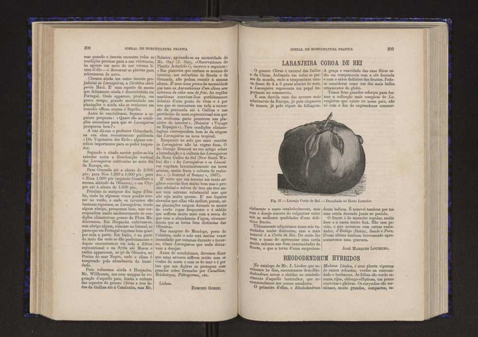 Jornal de horticultura prtica V 112