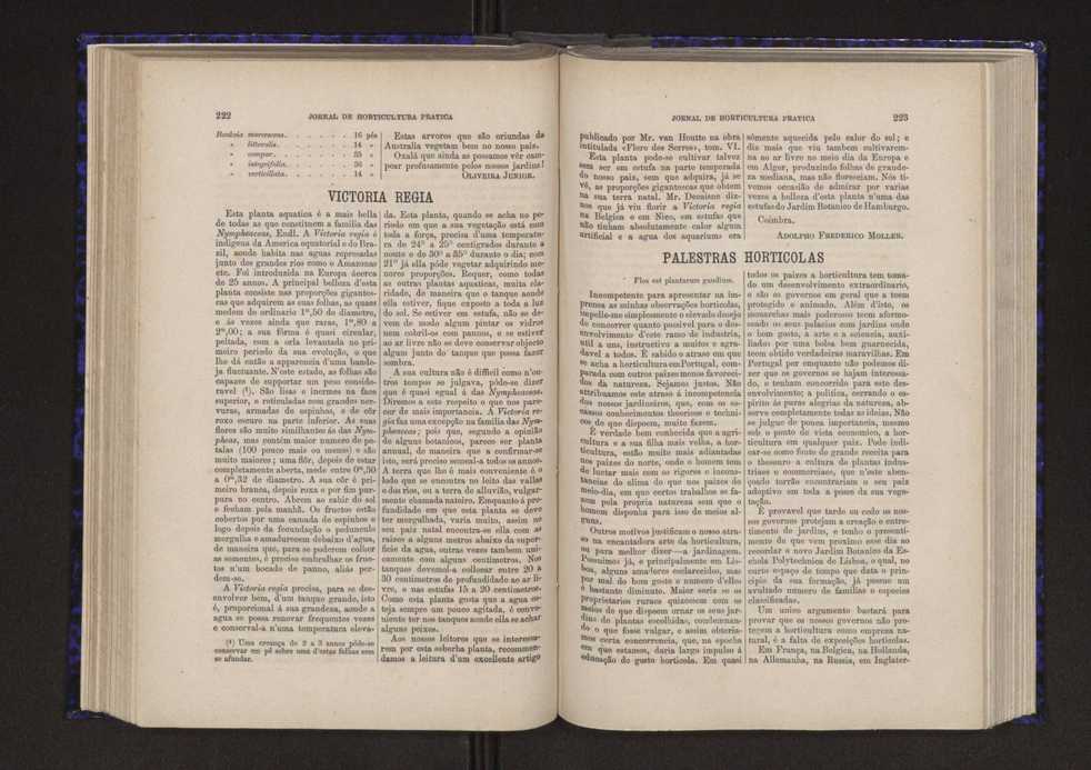 Jornal de horticultura prtica V 119