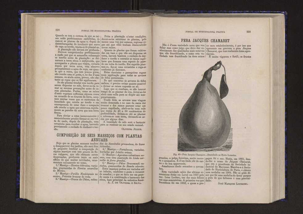 Jornal de horticultura prtica V 122