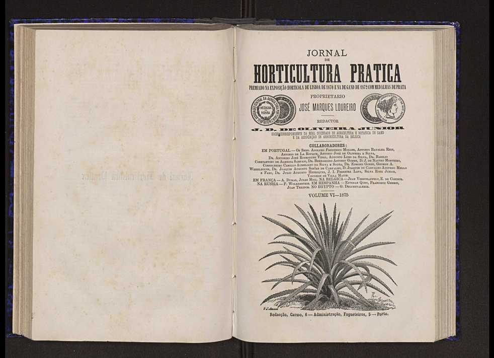 Jornal de horticultura prtica VI 2