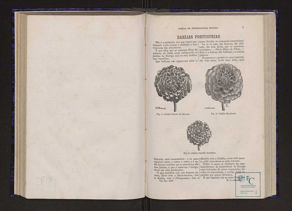 Jornal de horticultura prtica VI 7