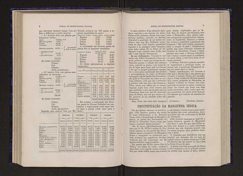 Jornal de horticultura prtica VI 10