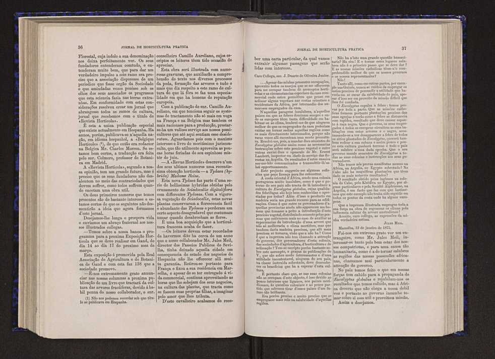 Jornal de horticultura prtica VI 25