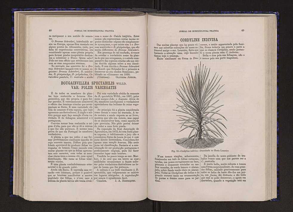 Jornal de horticultura prtica VI 31