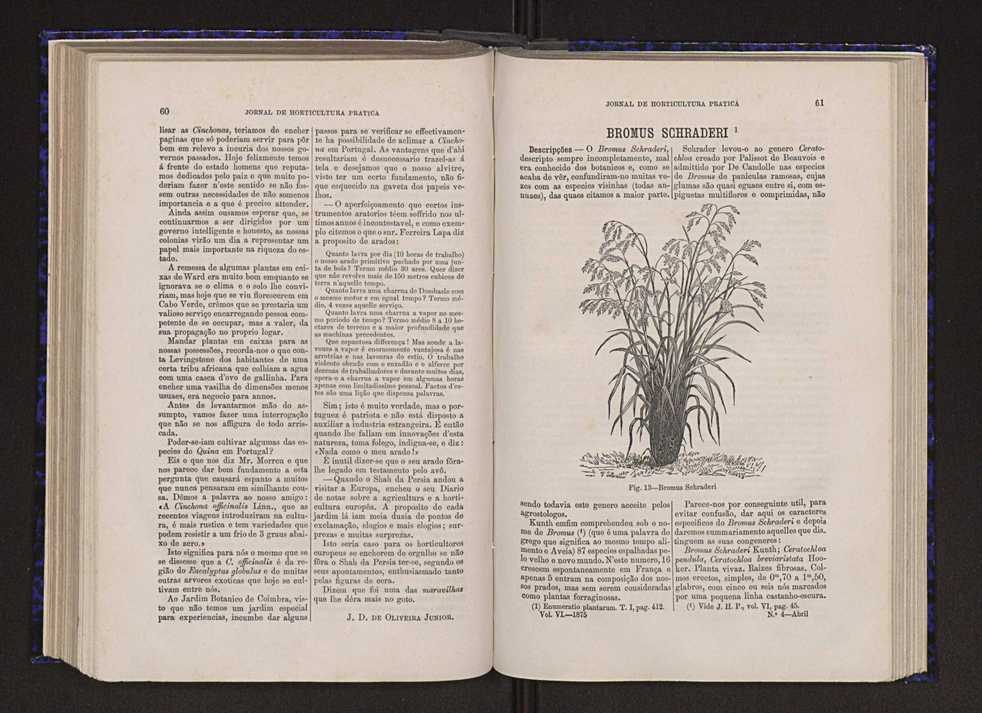 Jornal de horticultura prtica VI 37