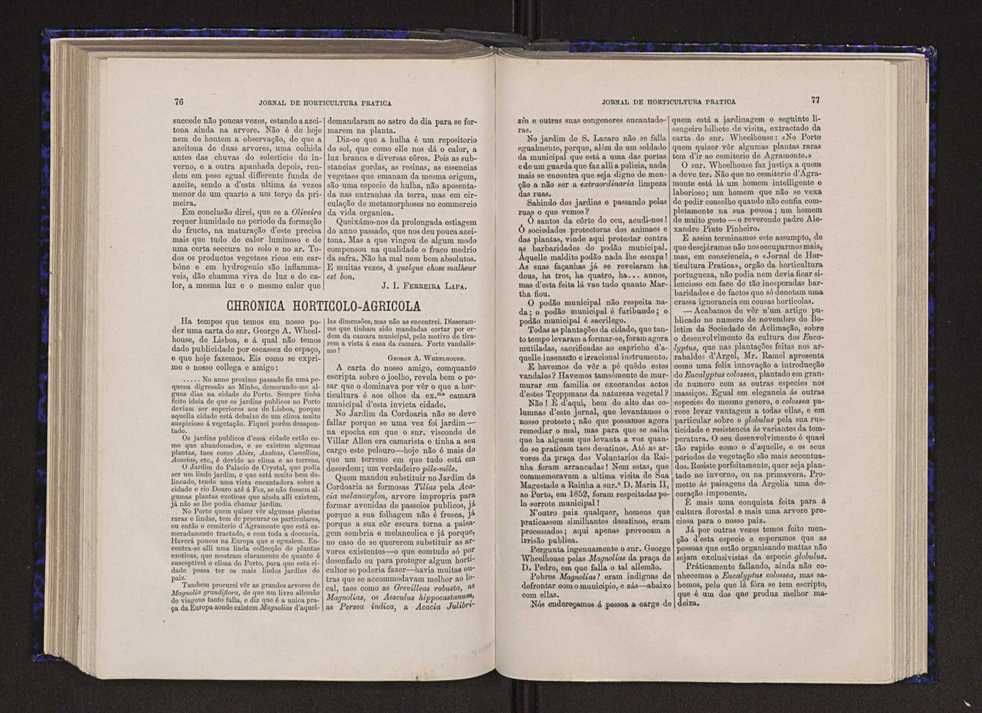 Jornal de horticultura prtica VI 45
