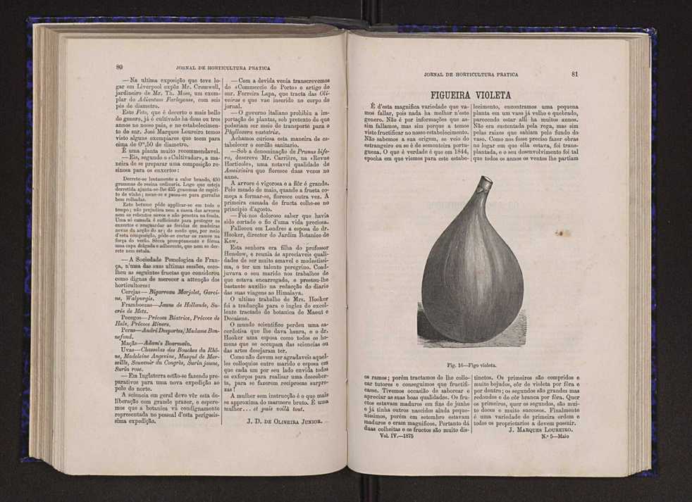 Jornal de horticultura prtica VI 47