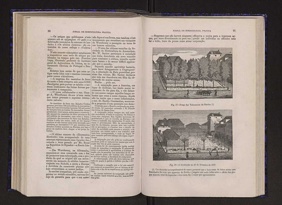 Jornal de horticultura prtica VI 55