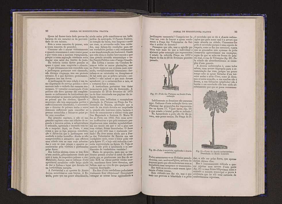 Jornal de horticultura pr�tica VI 56