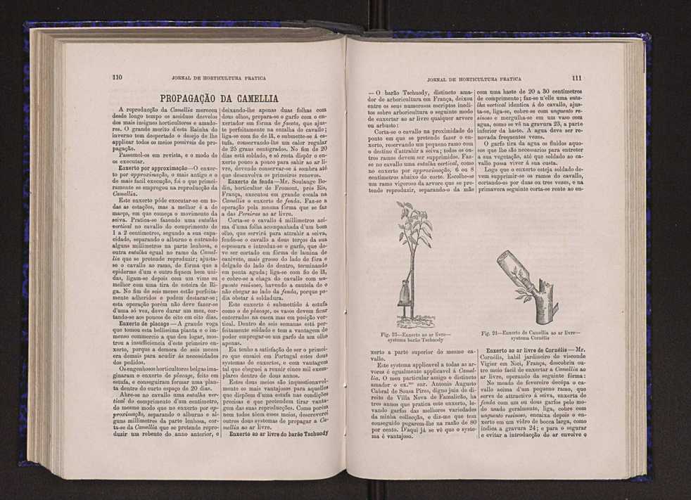 Jornal de horticultura pr�tica VI 62