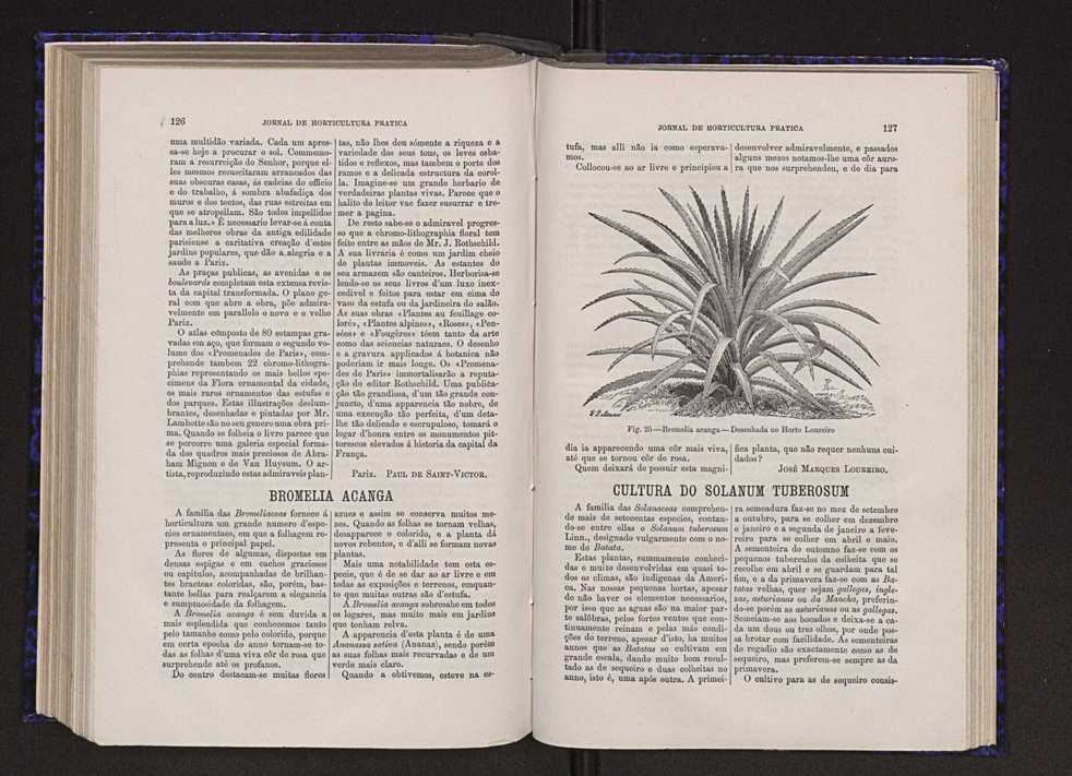 Jornal de horticultura prtica VI 70