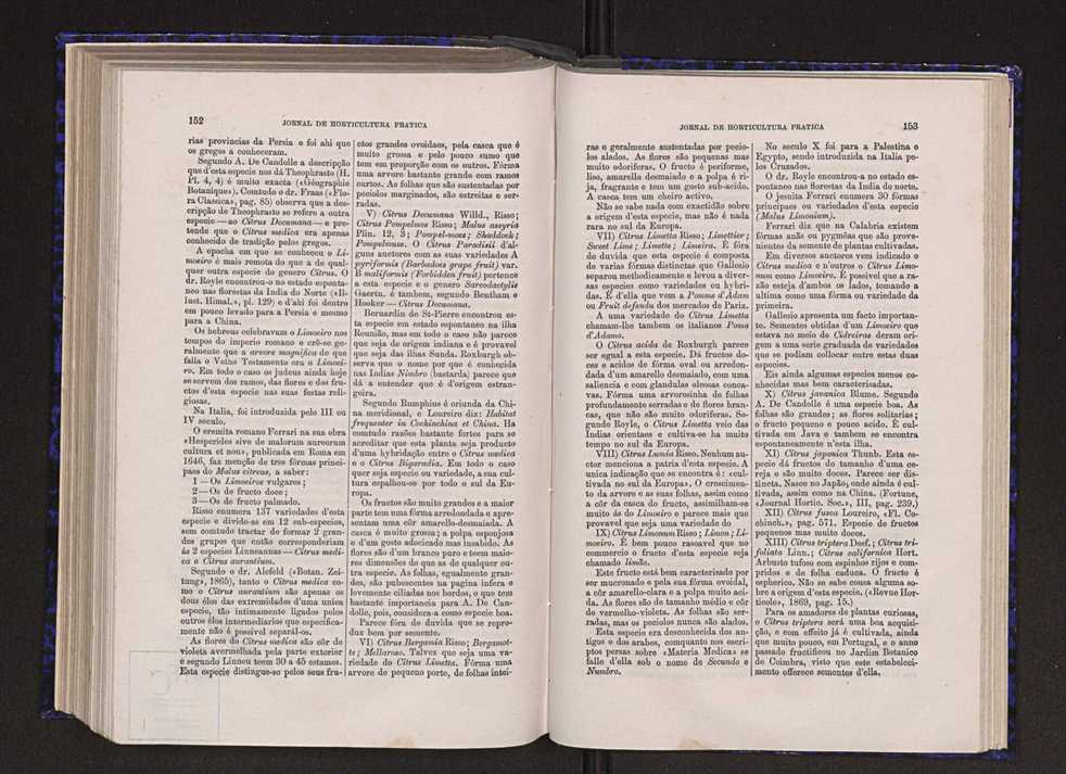Jornal de horticultura prtica VI 83