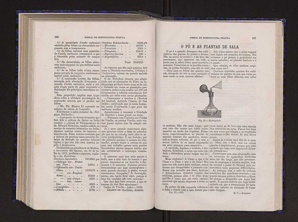 Jornal de horticultura prtica VI 87