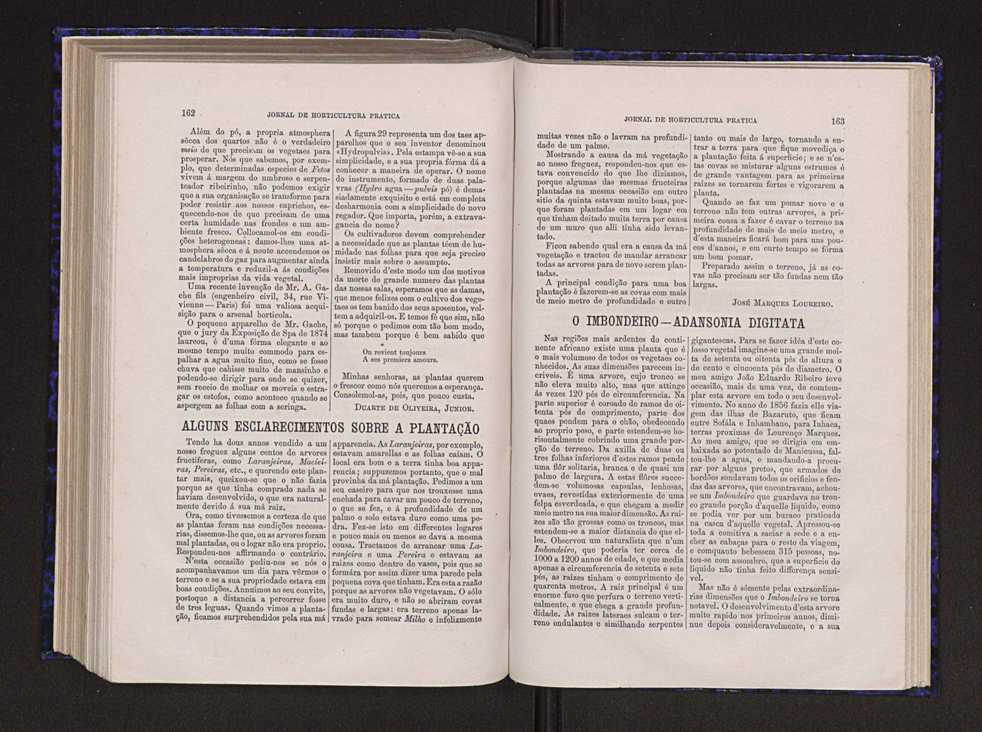 Jornal de horticultura prtica VI 88