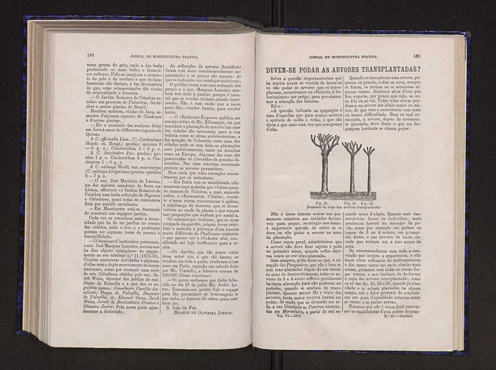 Jornal de horticultura prtica VI 97