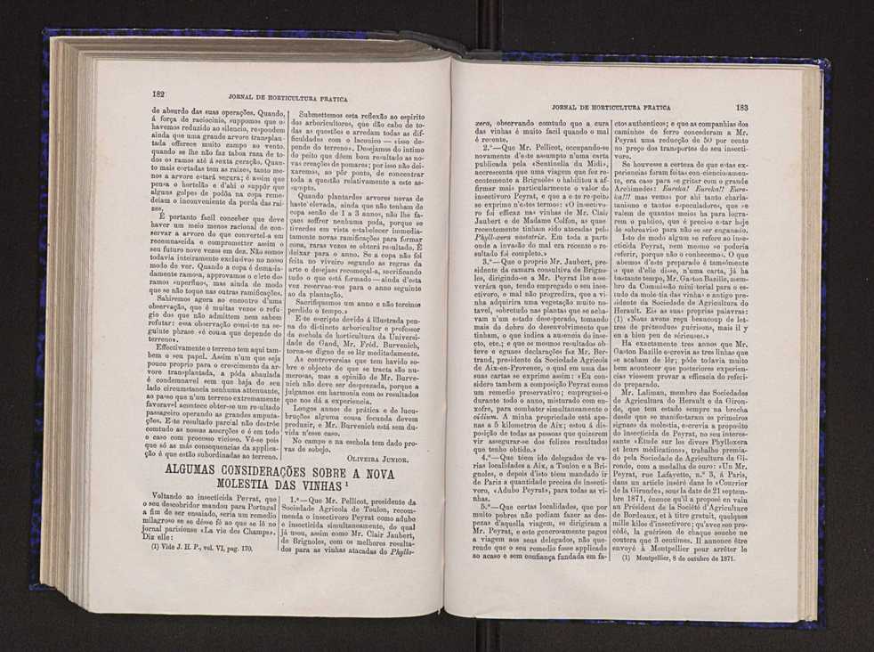 Jornal de horticultura prtica VI 98