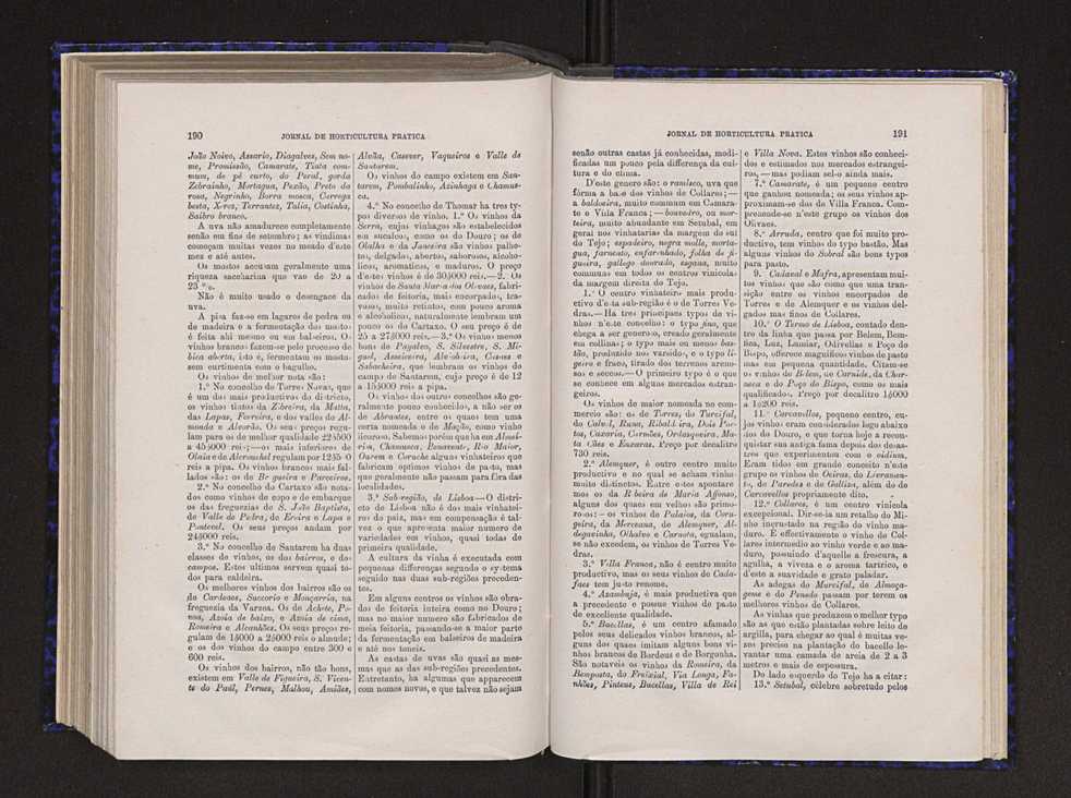 Jornal de horticultura prtica VI 102