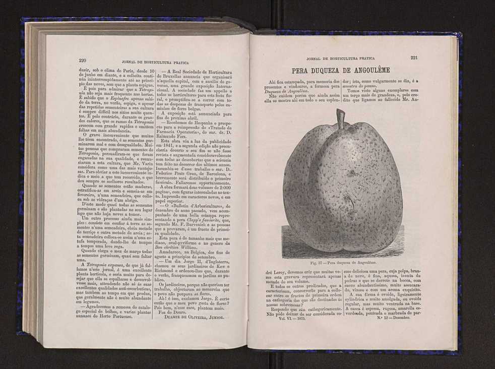 Jornal de horticultura prtica VI 117