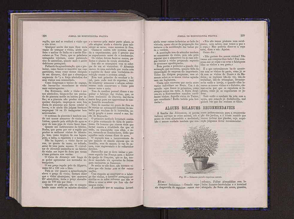 Jornal de horticultura prtica VI 121