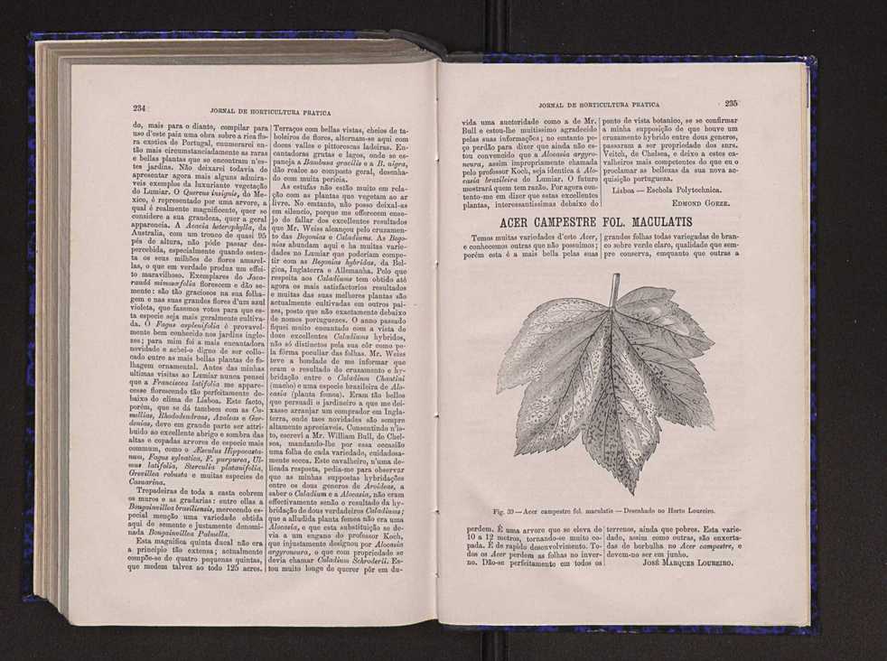 Jornal de horticultura prtica VI 124