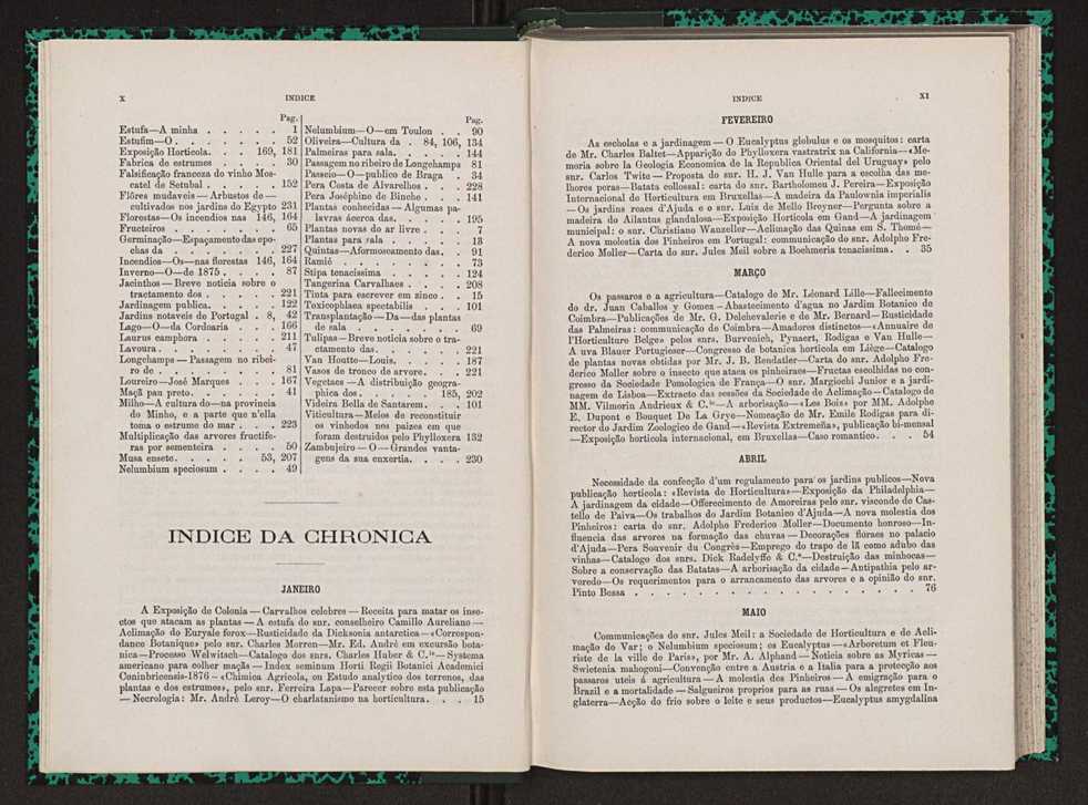 Jornal de horticultura prtica VII 8