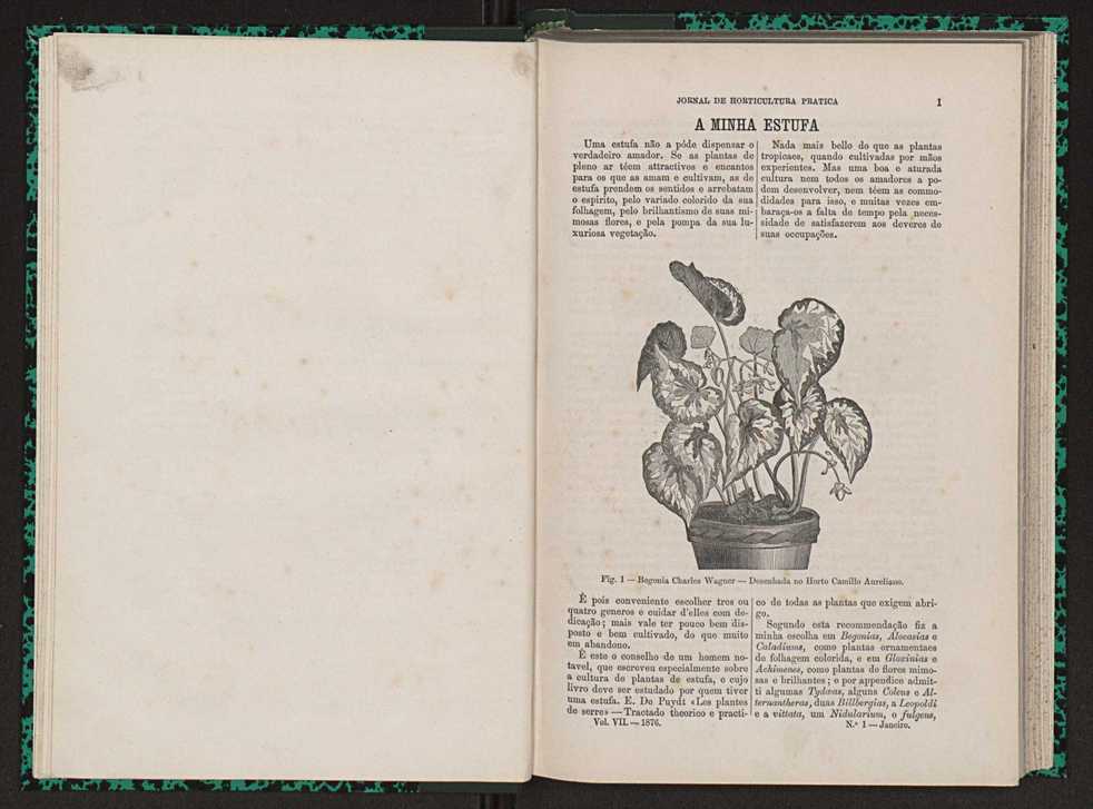 Jornal de horticultura prtica VII 12