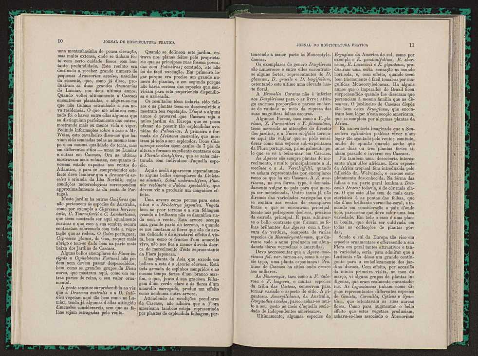 Jornal de horticultura prtica VII 17