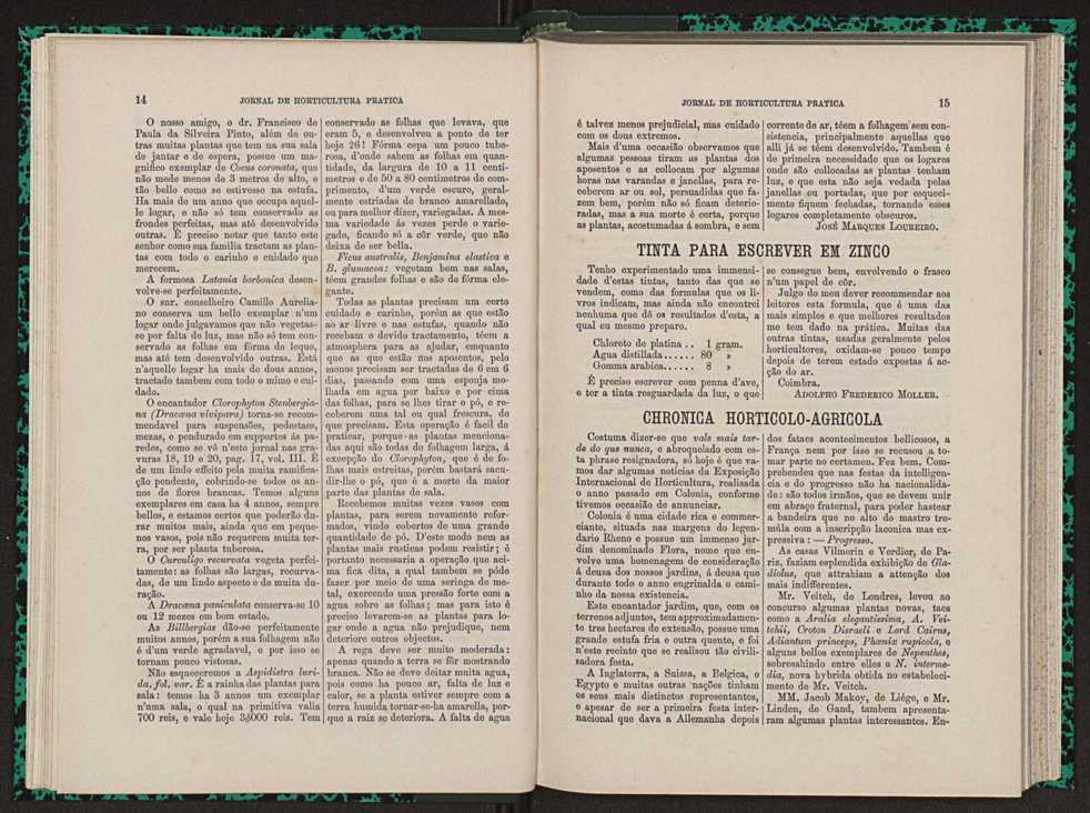 Jornal de horticultura prtica VII 19