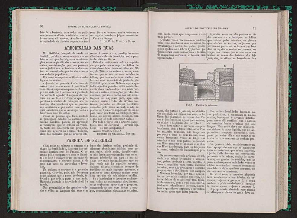 Jornal de horticultura prtica VII 27