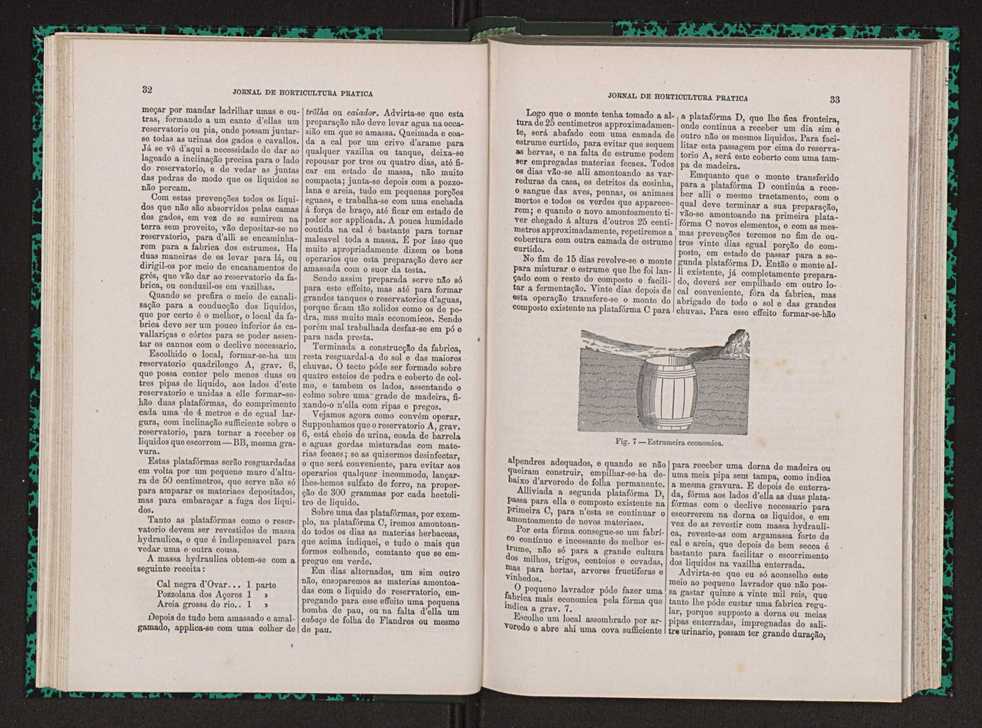 Jornal de horticultura prtica VII 28