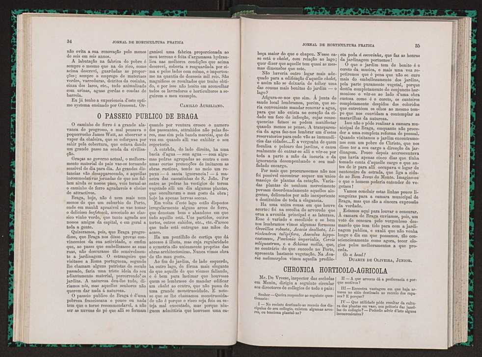 Jornal de horticultura prtica VII 29