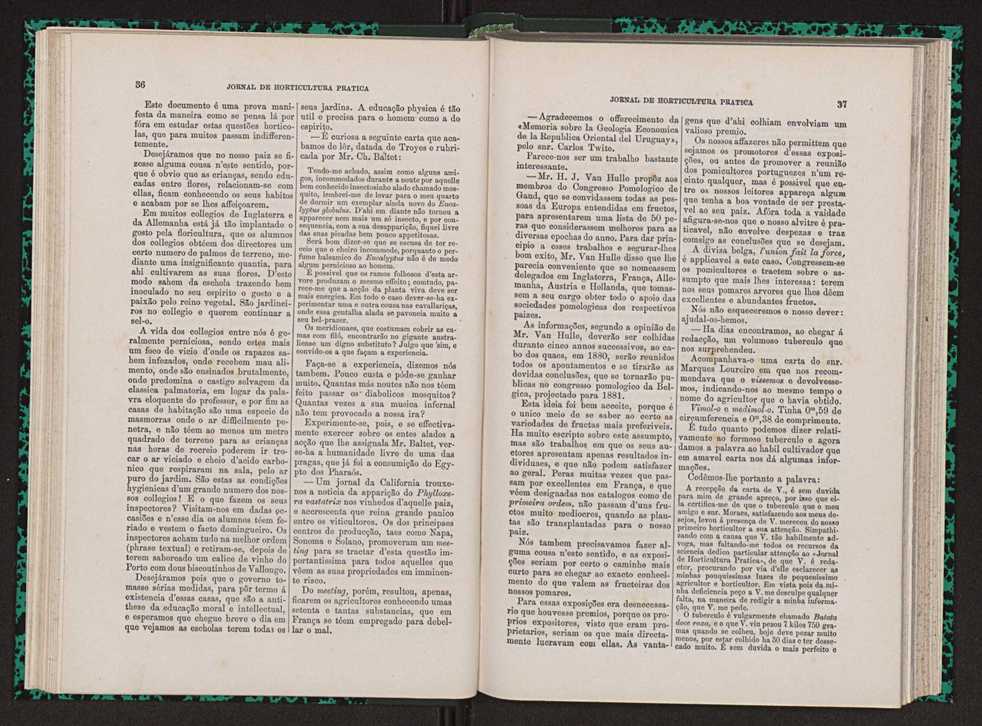 Jornal de horticultura prtica VII 30