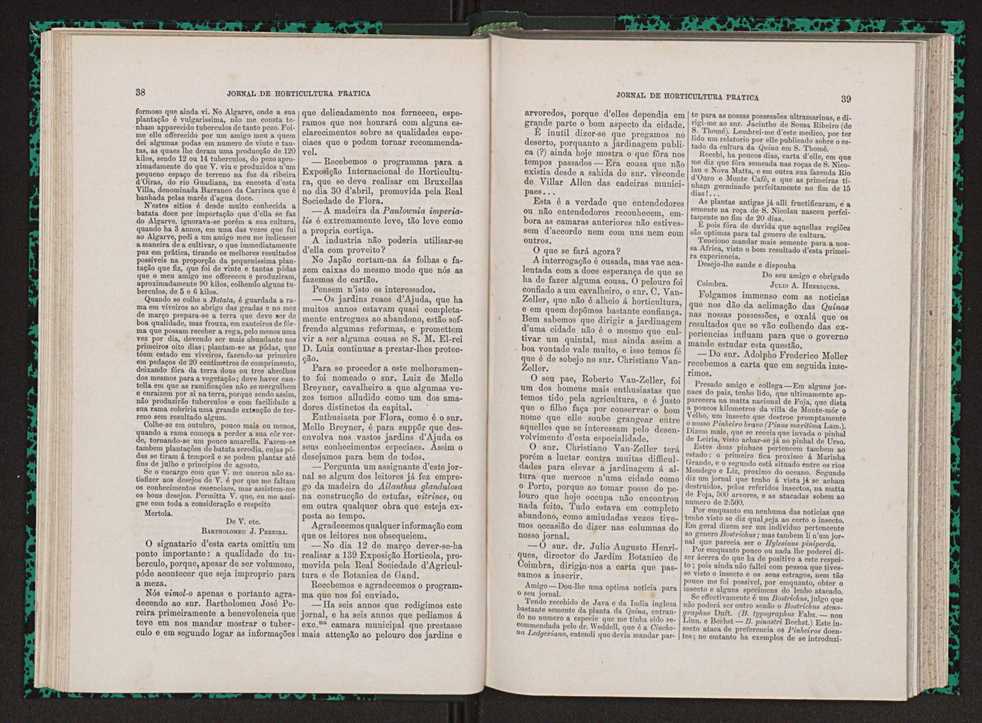 Jornal de horticultura prtica VII 31