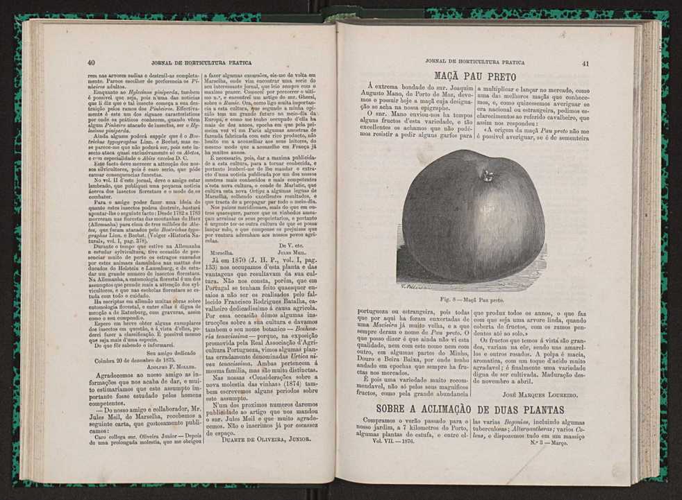Jornal de horticultura prtica VII 32