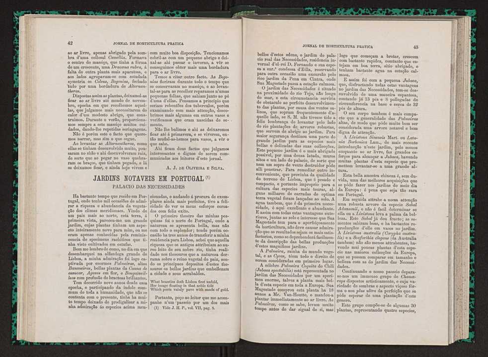 Jornal de horticultura prtica VII 33