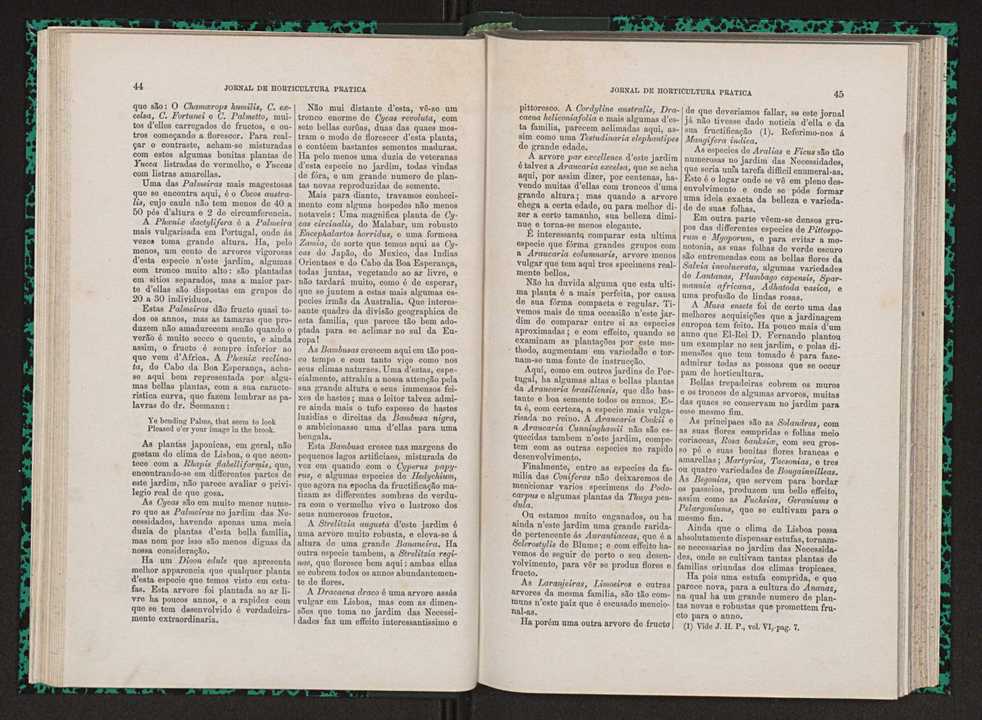 Jornal de horticultura prtica VII 34