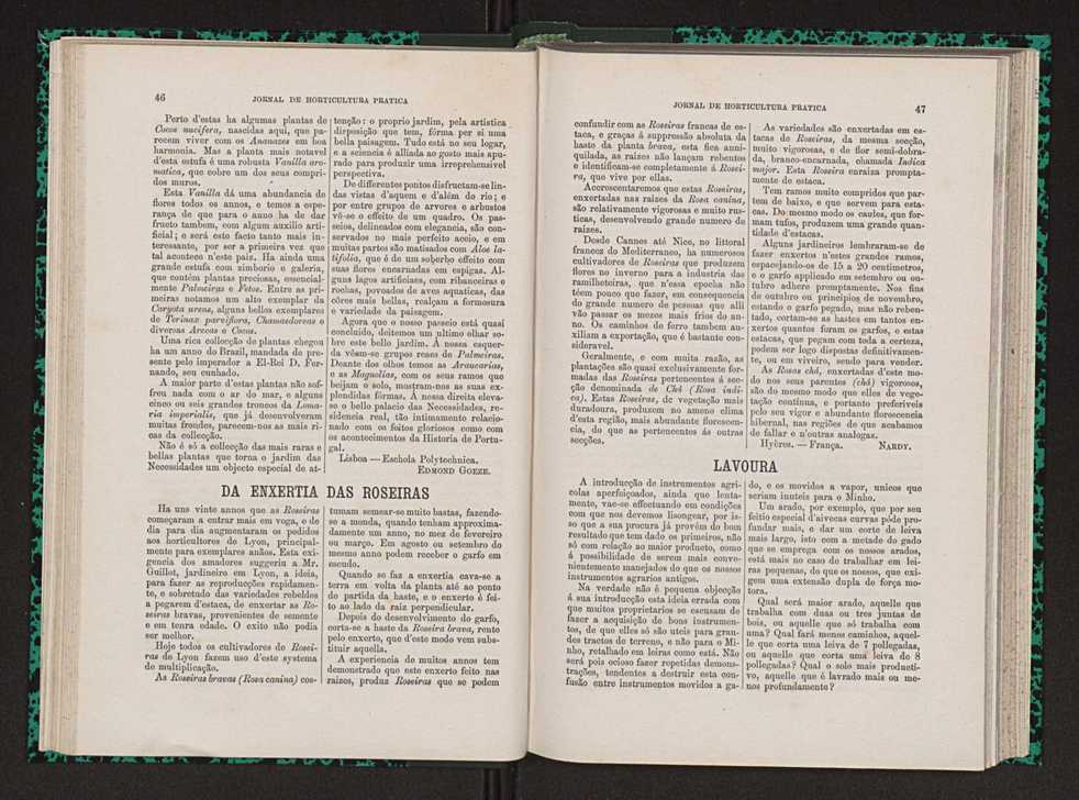 Jornal de horticultura prtica VII 35