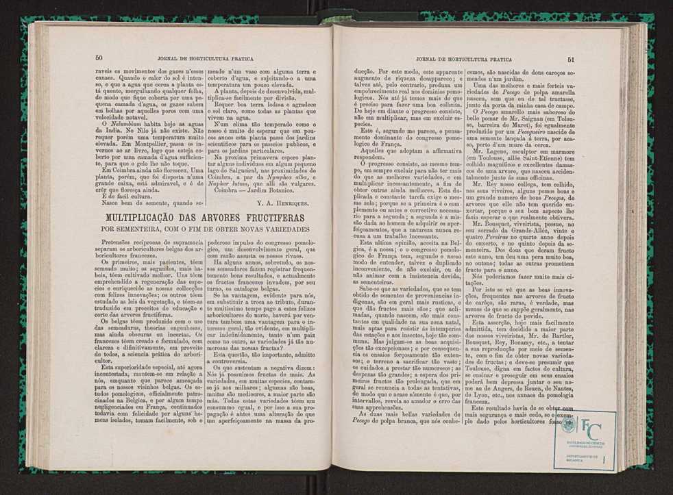 Jornal de horticultura prtica VII 37