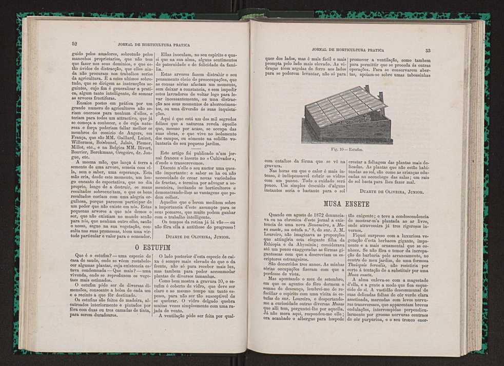 Jornal de horticultura prtica VII 38